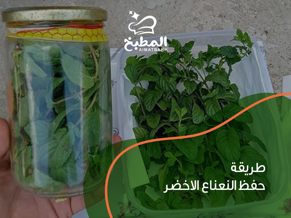 طريقة حفظ النعناع الاخضر